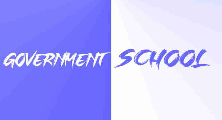 government-school